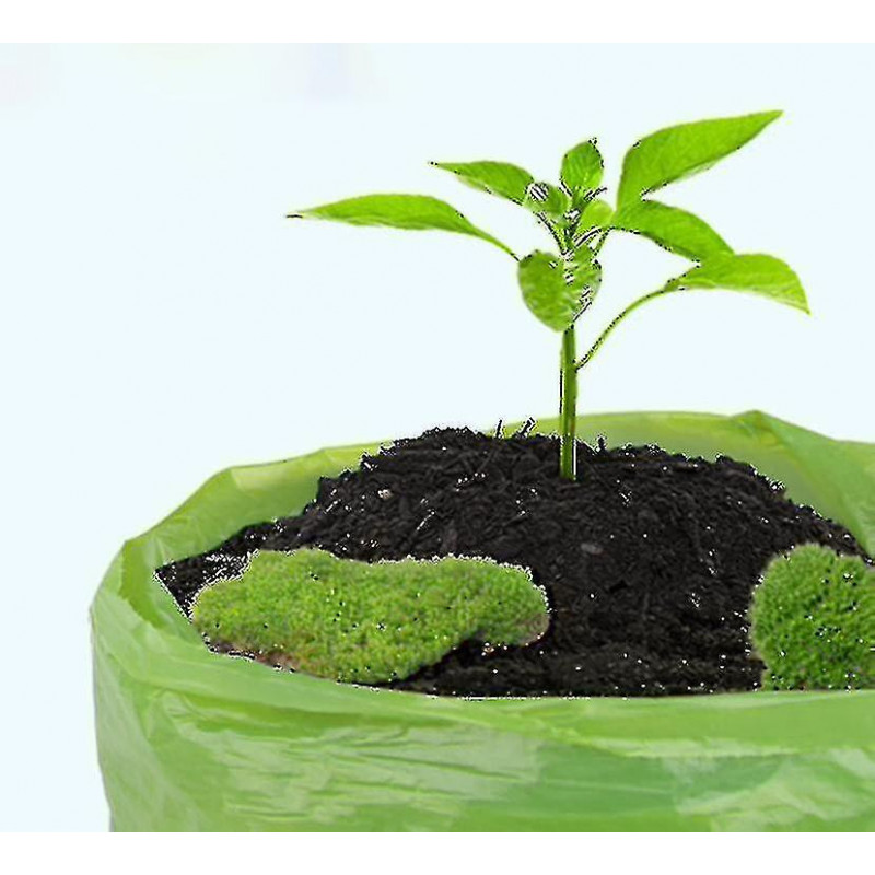 Sacs de caca de chien, rouleaux de recharge de sacs à déchets étanches et extra épais pour chiens, sacs de merde [...]