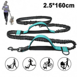 Laisse pour chien, avec ceinture de taille réglable pour courir