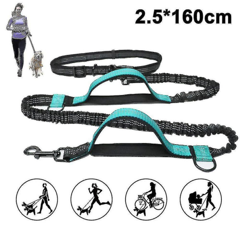 Laisse pour chien, avec ceinture de taille réglable pour courir