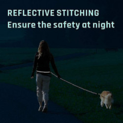 Laisse pour chien, avec ceinture de taille réglable pour courir