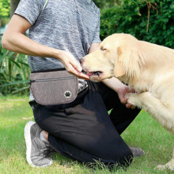 Puppy Treat Pouch avec laisse Portable Pet Reward Pouch pour l’entraînement d’agilité du chien Puppy Treat Pouch avec laisse Portable Pet Reward Pouch pour l’entraînement d’agilité du chien