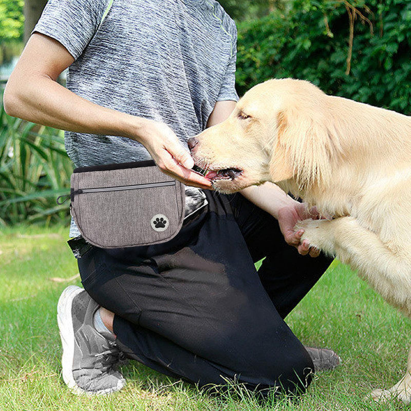 Puppy Treat Pouch avec laisse Portable Pet Reward Pouch pour l’entraînement d’agilité du chien