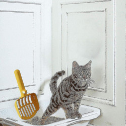 Metal With Holder, Fast Sifting Kitten Poop Scooper, Stand For Litter Boxes For Cats C