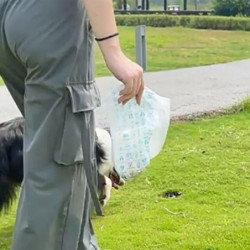 Disposable Dog Poop Bag Double Layers Thickness Doggie Potty Bags For Outdoor Walking Disposable Dog Poop Bag Double Layers Thickness Doggie Potty Bags For Outdoor Walking