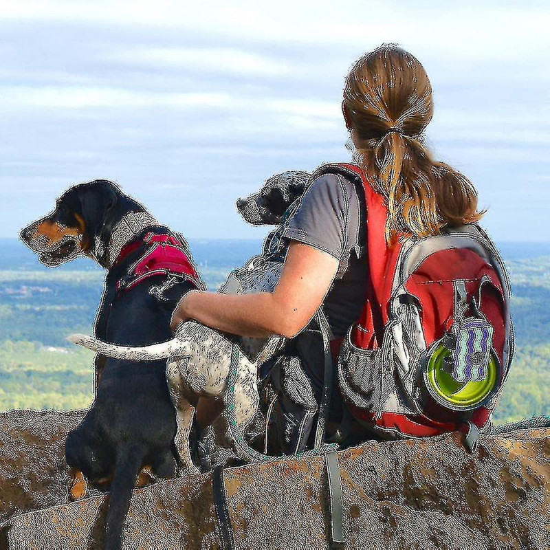 Dog Poop Bag Holder, Pet Garbage Bag Dispenser Holder Leash Attachment, 600d Oxford Cloth, Durable Metal Zipper [...]