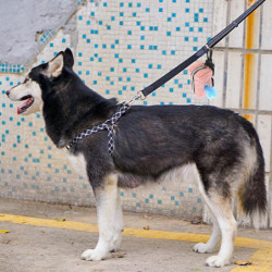 Sac à crottes de chien Distributeur de déchets Ramasser Sac propre Mignon Laine d’agneau doux pour marcher