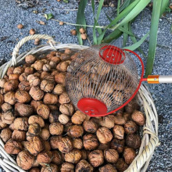 Nut Gatherer Acorn Picker Upper - Side Opening Dump Walnut Picker Upper Roller Pinecone Picker Upper-Excellent