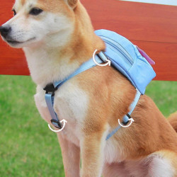 Colorful Dog Poop Bag Dispenser Puppy Backpacks Large Capacity Pets Backpacks For Daily Walking Colorful Dog Poop Bag Dispenser Puppy Backpacks Large Capacity Pets Backpacks For Daily Walking