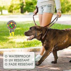 2pcs No Poop Dog Signs pour Yard Garden 2pcs No Poop Dog Signs pour Yard Garden