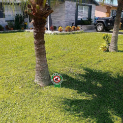 4 Pieces No Poop Dog Signs Be Respectful No Pooping Dog Lawn Signs No Dog Poop Yard Signs 4 Pieces No Poop Dog Signs Be Respectful No Pooping Dog Lawn Signs No Dog Poop Yard Signs