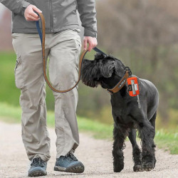Dog Poop Bag Dispenser Pet Trash Sack Case Carrier Outdoor Clean Accessories With Hook Clip Leash For Walking Running Dog Poop Bag Dispenser Pet Trash Sack Case Carrier Outdoor Clean Accessories With Hook Clip Leash For Walking Running