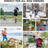 Dog Hands Free Leash With Zipper Pouch Reflective Running Leash Waist Bag Pack For Jogging Walking Night Running