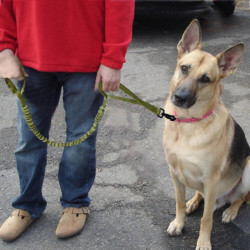 1pc Pet Rope Elastic Portative Hauling Cable For Walking Dogs Puppy Pet 1pc Pet Rope Elastic Portative Hauling Cable For Walking Dogs Puppy Pet