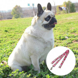 Watermelon Dog Collar Scarf Belt Set Suitable For Medium Size Girl Dog Cat Dog Outdoor Training Tw Watermelon Dog Collar Scarf Belt Set Suitable For Medium Size Girl Dog Cat Dog Outdoor Training Tw