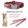 Watermelon Dog Collar Scarf Belt Set Suitable For Medium Size Girl Dog Cat Dog Outdoor Training Tw