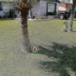 4 Pieces No Poop Dog Signs Be Respectful No Pooping Dog Lawn Signs No Dog Poop Yard Signs 4 Pieces No Poop Dog Signs Be Respectful No Pooping Dog Lawn Signs No Dog Poop Yard Signs