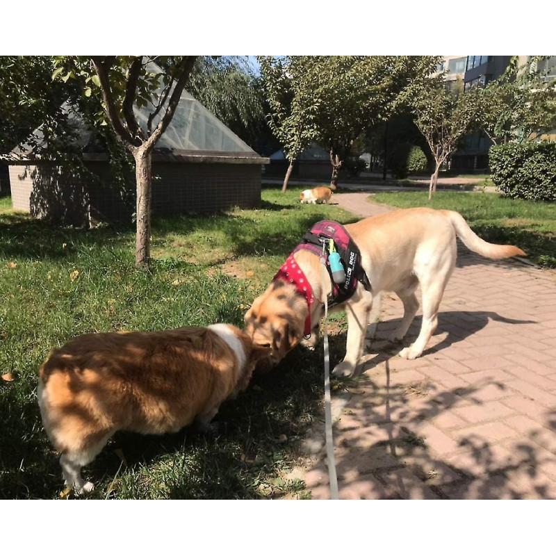 Dog Poop Waste Bags Holder With Led Flashlight|cute Doggie Poo Bags Dispenser For Pet Leash|trash Waste Bags [...]