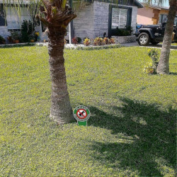 4 pièces Pas de signes de chien caca Soyez respectueux Pas de chien de caca Signes de pelouse Pas de panneaux de [...]