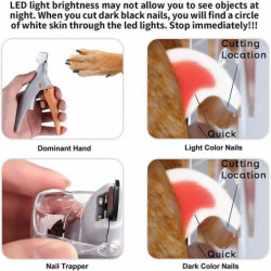 Pet For Cat Dog Illuminated Trimmer avec Led Light Quick-clip Druiable pour Sharp Pet For Cat Dog Illuminated Trimmer avec Led Light Quick-clip Druiable pour Sharp