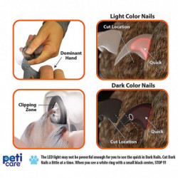 Pet For Cat Dog Illuminated Trimmer avec Led Light Quick-clip Druiable pour Sharp Pet For Cat Dog Illuminated Trimmer avec Led Light Quick-clip Druiable pour Sharp