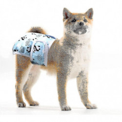 Paquet de 3 couches réutilisables lavables pour chiens, pantalon physiologique pour chien hautement absorbant [...]