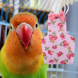 Parrot Diaper with Fastener Tape Breathable Washable