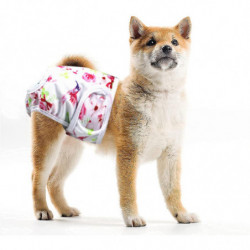 Paquet de 3 couches réutilisables lavables pour chiens, pantalon physiologique pour chien hautement absorbant [...]