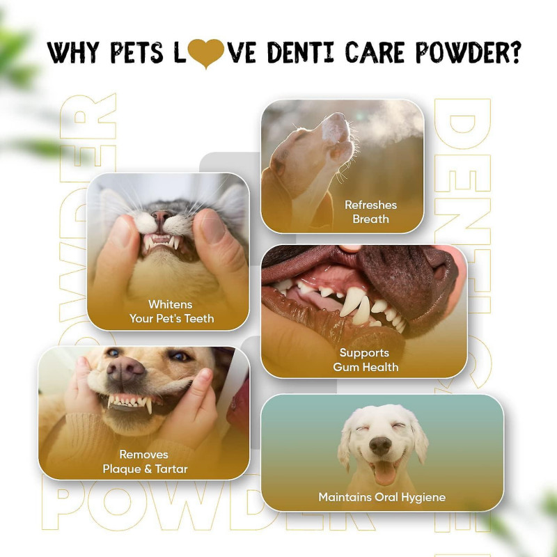 Plaque Off Chiens et Chats 180g - Éliminateur de Plaque et de Tartre 100% Naturel pour Chien - Poudre de Soins [...]