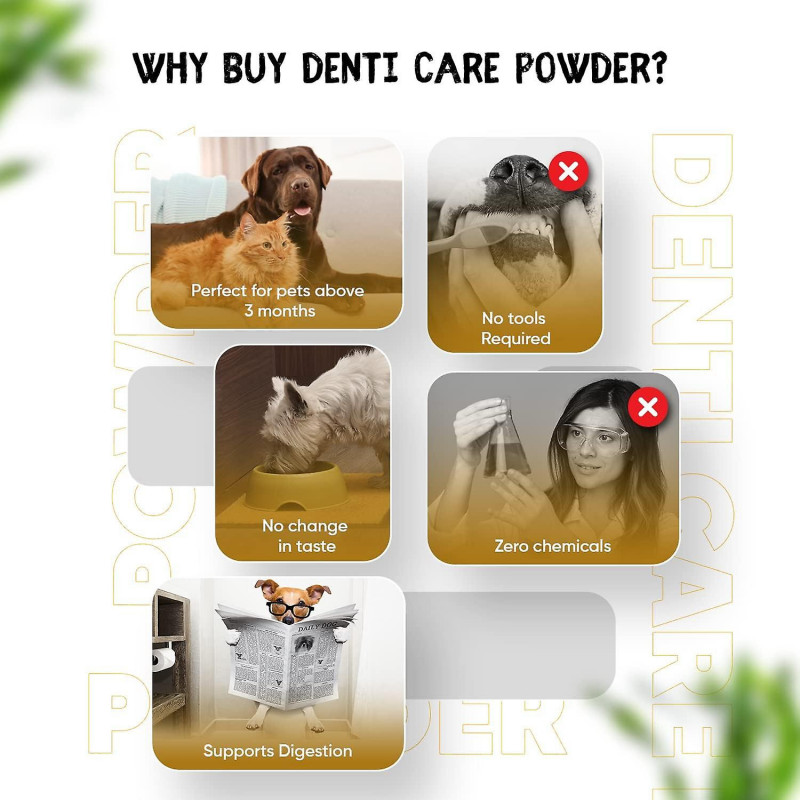 Plaque Off Chiens et Chats 180g - Éliminateur de Plaque et de Tartre 100% Naturel pour Chien - Poudre de Soins [...]