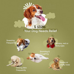 Allergy Aid For Dogs -120 Comprimés contre les allergies aux chiens - Soulage les démangeaisons et la peau [...]