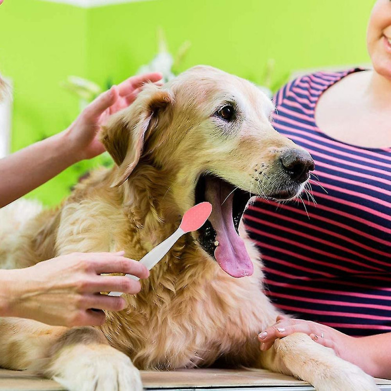 Dog Dental Care Brosse à dents pour chien Long Handled Dual Head Finger Kit