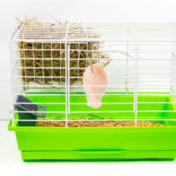 Small Animals Lick Salt Mineral Block Rabbit Mineral Hamster Salt Mineral Block