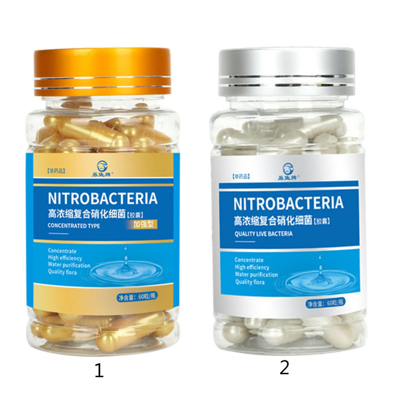Bactéries nitrifiantes Capsules Poudre concentrée 60 comptes Élimination des odeurs
