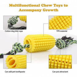 Jouet à mâcher pour chien, brosse à dents pour chien nettoyage des dents jouet à mâcher avec corde pour grands [...]