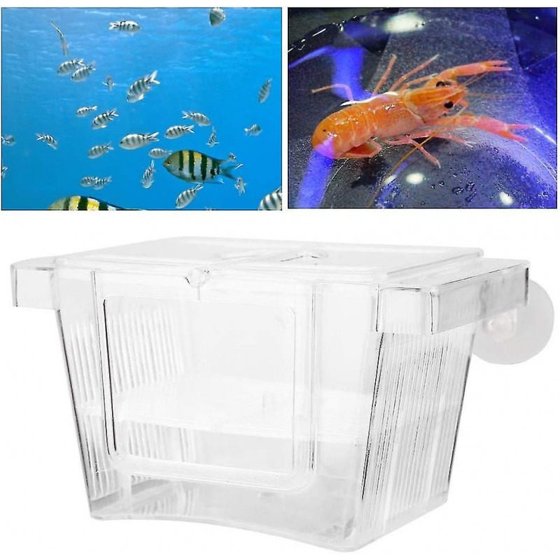 Acrylic Fish Breeding Box, Fish Breeding Box, Protect Baby Fish Hatch