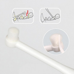 Dogs Toothpaste And Toothbrushs Dogs Oral Care Dogs Toothbrushs Pet Toothpaste