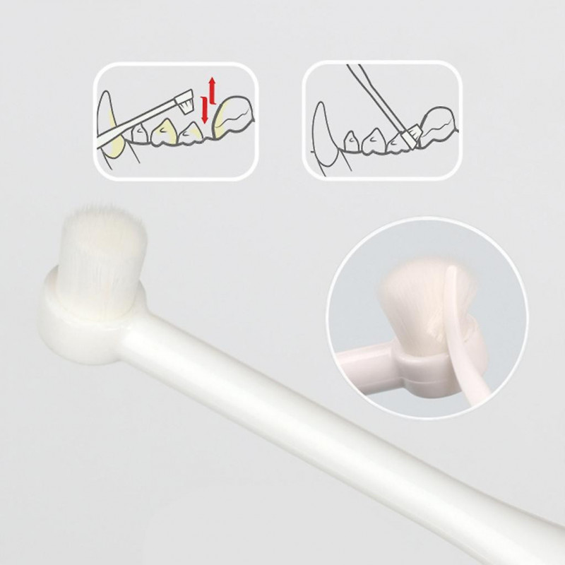 Dogs Toothpaste And Toothbrushs Dogs Oral Care Dogs Toothbrushs Pet Toothpaste