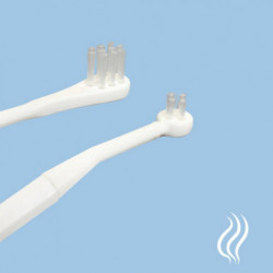 Cat Toothpaste Toothbrush Long Handle For Small Pet Puppy Kitten Teeth Clean