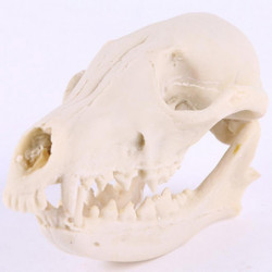 10x Aquarium Terrarium Fish Tank Skulls Replica Bone Home Room Ornament