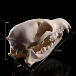 10x Aquarium Terrarium Fish Tank Skulls Replica Bone Home Room Ornament