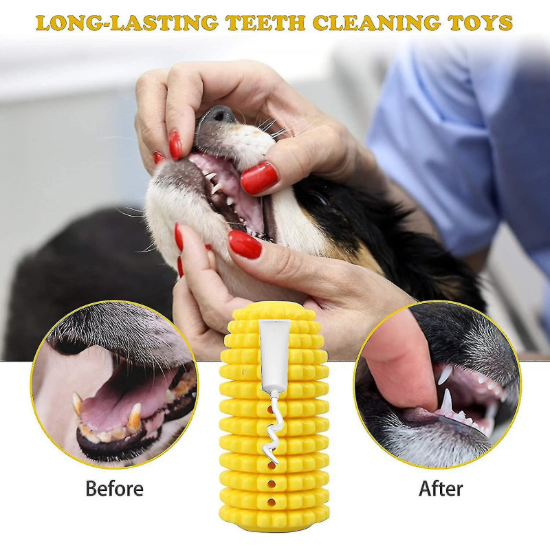 Jouet à mâcher pour chien, brosse à dents pour chien nettoyage des dents jouet à mâcher avec corde pour grands [...]