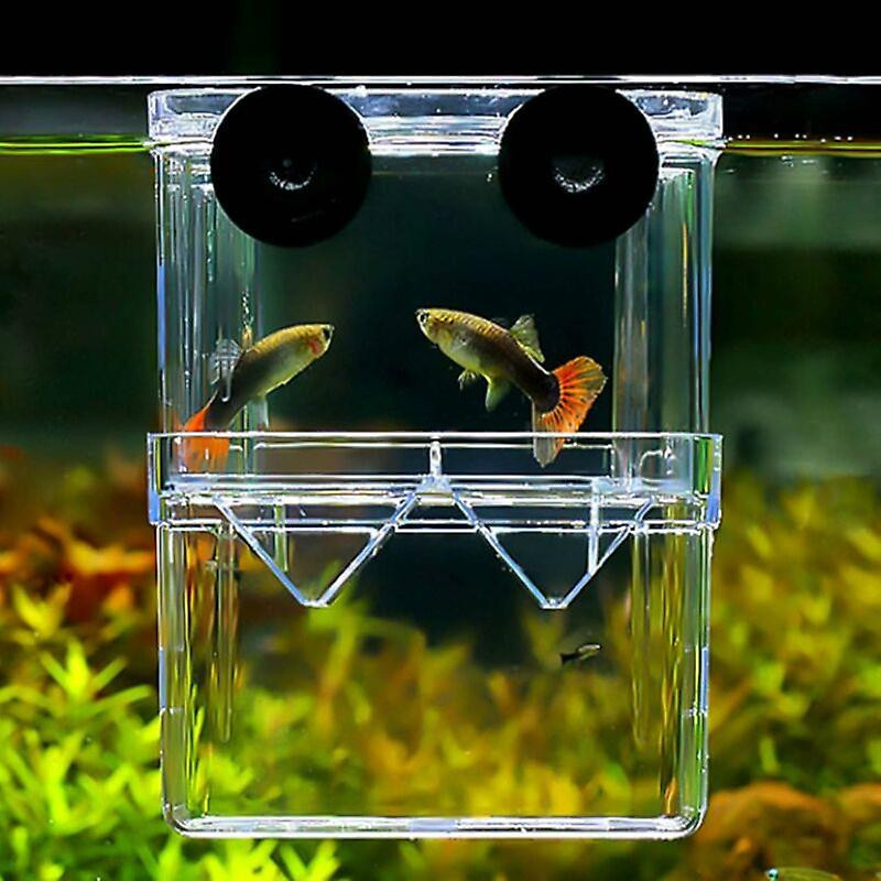 Aquarium Breeding Box, Aquarium Fish Breeding Box, Double Layer, Transparent, Incubators With Suction Cups, For [...]