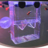 Aquarium Breeding Box, Aquarium Fish Breeding Box, Double Layer, Transparent, Incubators With Suction Cups, For [...]