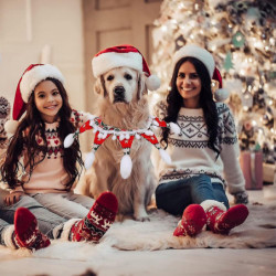 Pet Holiday Accessories Dog Christmas Collar Compatible With Dogs Cats Pets