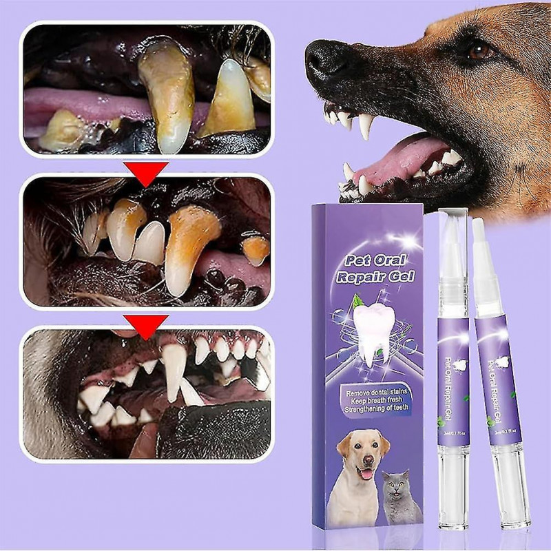 Gel de réparation orale pour animaux de compagnie, gel blanchissant de restauration orale pour animaux de [...]