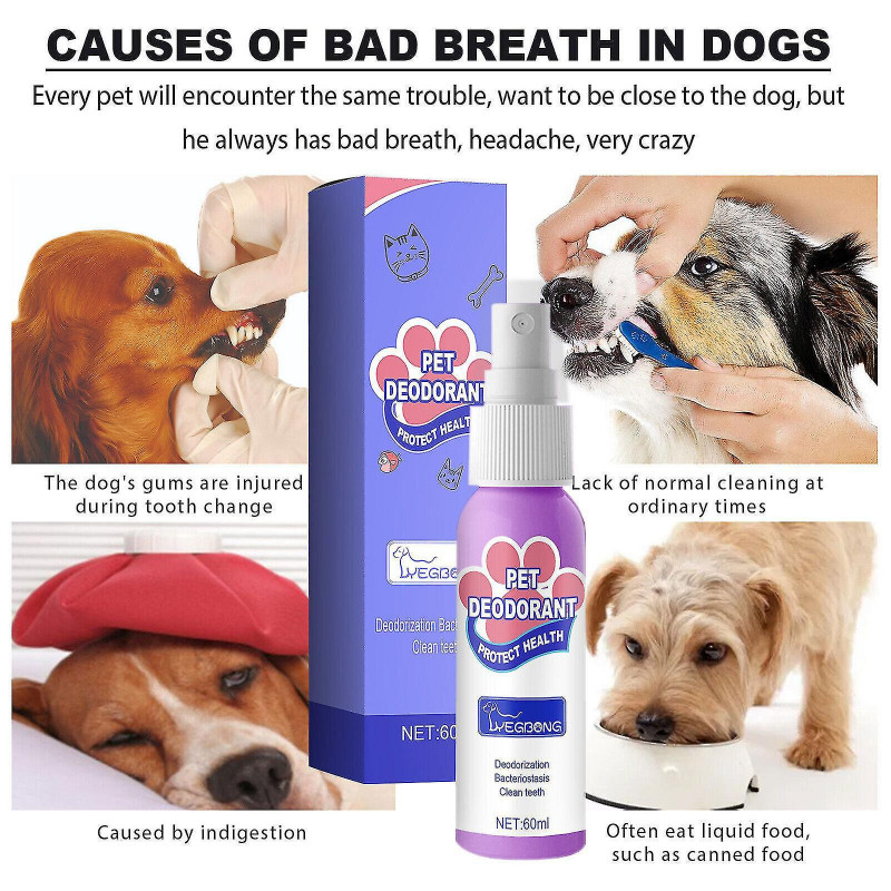 1/3pcs Petry Oral Spray, nettoyage des dents de petry pour chiens chats, cible la plaque de tartre