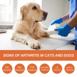 Pet Joint Care Spray - Liquid Soothing Joint Spray, Natural Pet Joint Repair Spray, Enhances Strength and [...]