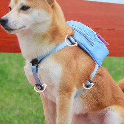 Colorful Dog Poop Bag Dispenser Puppy Backpacks Large Capacity Pets Backpacks for Dogs Puppy