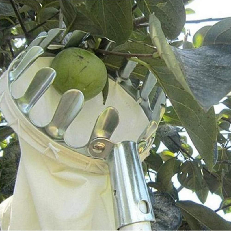 Fruit Pickers Combisystem Fruit Picker without Metal Telescopic Handle Apple Pickers Fruit Picker Fruit Pickers [...]