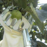 Fruit Pickers Combisystem Fruit Picker without Metal Telescopic Handle Apple Pickers Fruit Picker Fruit Pickers [...]
